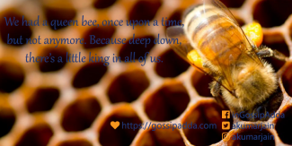 Once Upon A Beehive